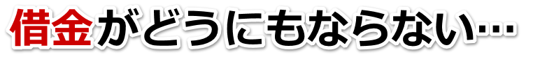 なんでこんなことに…。借金が返せない。神栖市で弁護士や司法書士に無料相談して解決する